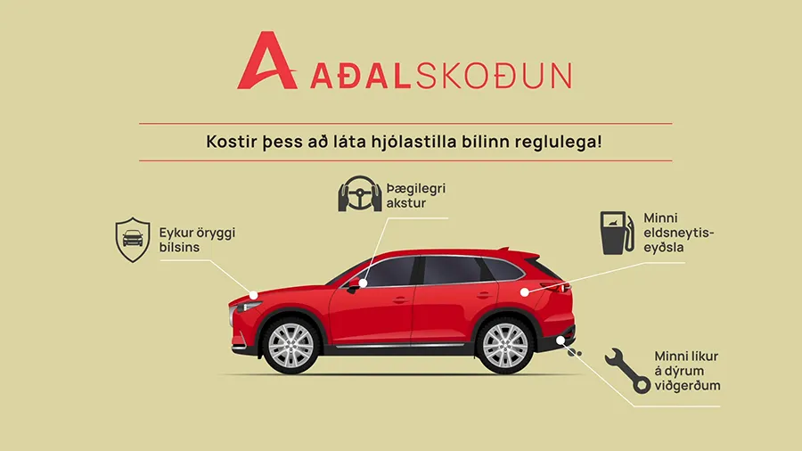 Aðalskoðun